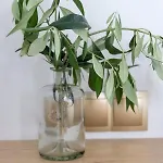 게스트하우스 Hill Thassos