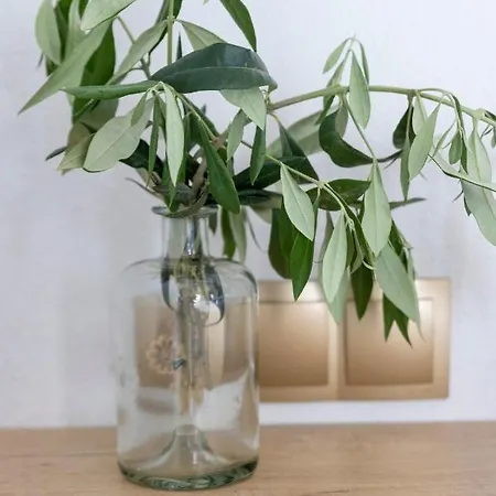 Pensión Hill Thassos